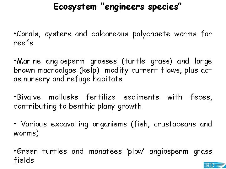 Ecosystem “engineers species” • Corals, oysters and calcareous polychaete worms for reefs • Marine