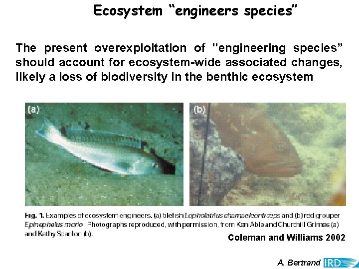 Ecosystem “engineers species” The present overexploitation of "engineering species” should account for ecosystem-wide associated