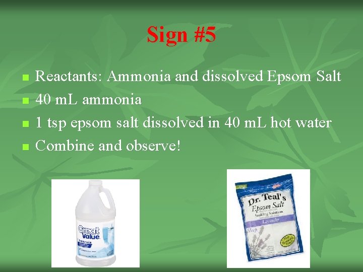 Sign #5 n n Reactants: Ammonia and dissolved Epsom Salt 40 m. L ammonia