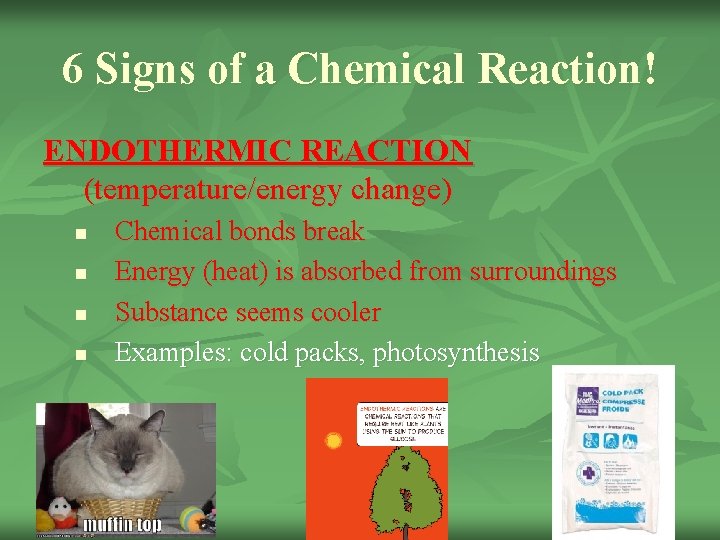6 Signs of a Chemical Reaction! ENDOTHERMIC REACTION (temperature/energy change) n n Chemical bonds