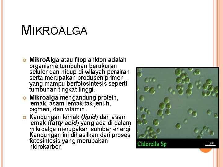 MIKROALGA Mikro. Alga atau fitoplankton adalah organisme tumbuhan berukuran seluler dan hidup di wilayah