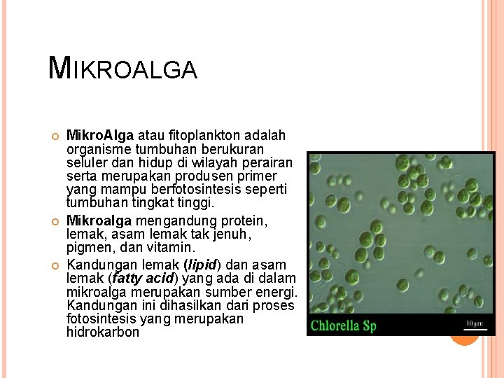 MIKROALGA Mikro. Alga atau fitoplankton adalah organisme tumbuhan berukuran seluler dan hidup di wilayah MIKROALGA Mikro. Alga atau fitoplankton adalah organisme tumbuhan berukuran seluler dan hidup di wilayah