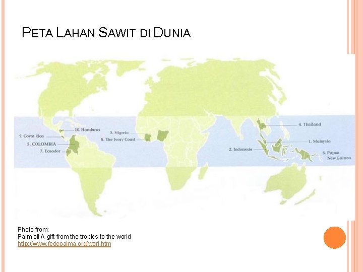 PETA LAHAN SAWIT DI DUNIA Photo from: Palm oil A gift from the tropics