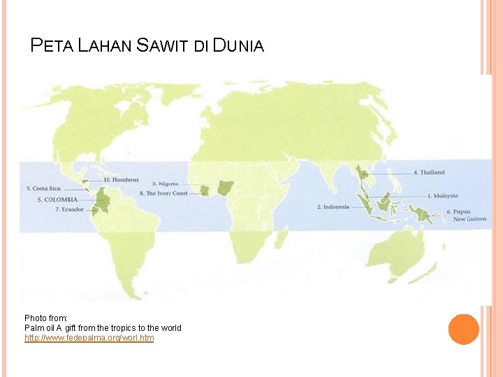 PETA LAHAN SAWIT DI DUNIA Photo from: Palm oil A gift from the tropics PETA LAHAN SAWIT DI DUNIA Photo from: Palm oil A gift from the tropics