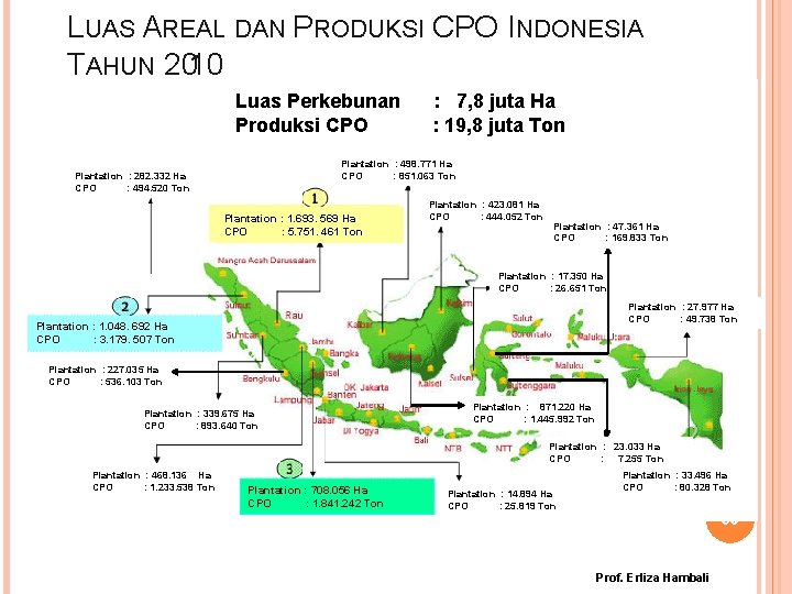 LUAS AREAL DAN PRODUKSI CPO INDONESIA TAHUN 2010 Luas Perkebunan : 7, 8 juta