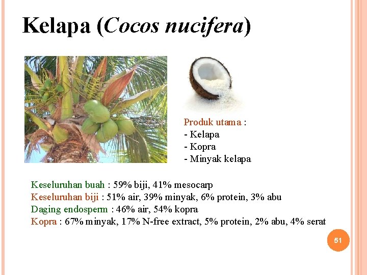 Kelapa (Cocos nucifera) Produk utama : - Kelapa - Kopra - Minyak kelapa Keseluruhan