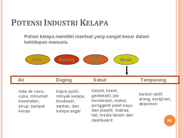 POTENSI INDUSTRI KELAPA Pohon kelapa memiliki manfaat yang sangat besar dalam kehidupan manusia. Akar