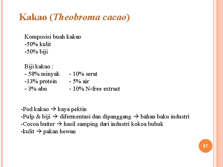 Kakao (Theobroma cacao) Komposisi buah kakao -50% kulit -50% biji Biji kakao : -