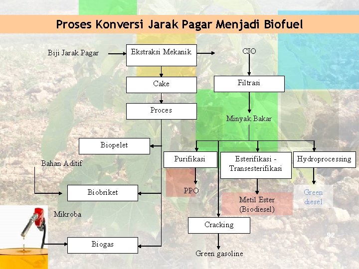 Proses Konversi Jarak Pagar Menjadi Biofuel Biji Jarak Pagar Ekstraksi Mekanik CJO Cake Filtrasi