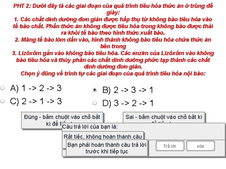 PHT 2: Dưới đây là các giai đoạn của quá trình tiêu hóa thức