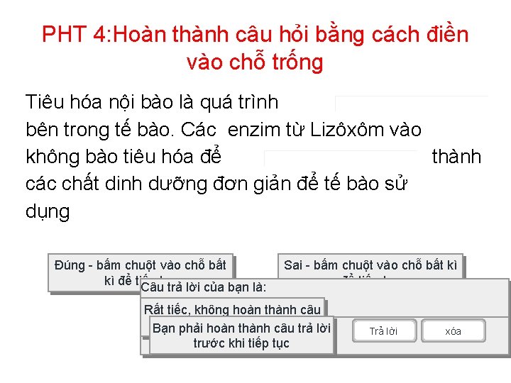 PHT 4: Hoàn thành câu hỏi bằng cách điền vào chỗ trống Tiêu hóa PHT 4: Hoàn thành câu hỏi bằng cách điền vào chỗ trống Tiêu hóa
