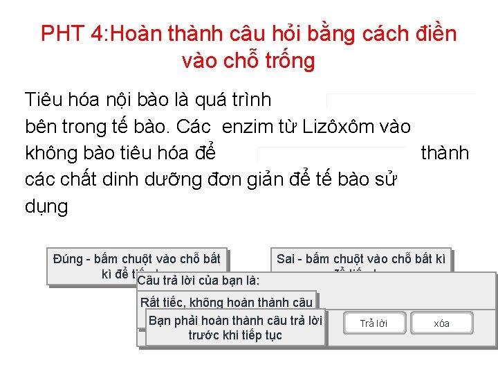 PHT 4: Hoàn thành câu hỏi bằng cách điền vào chỗ trống Tiêu hóa