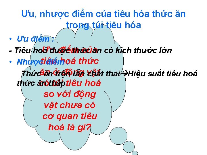 Ưu, nhược điểm của tiêu hóa thức ăn trong túi tiêu hóa • Ưu