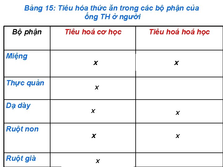 Bảng 15: Tiêu hóa thức ăn trong các bộ phận của ống TH ở Bảng 15: Tiêu hóa thức ăn trong các bộ phận của ống TH ở