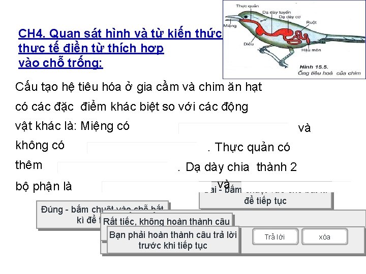 CH 4. Quan sát hình và từ kiến thức thực tế điền từ thích