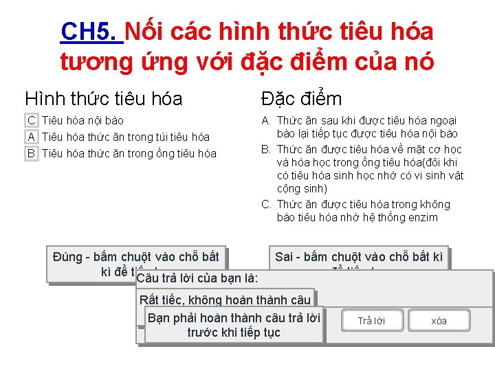 CH 5. Nối các hình thức tiêu hóa tương ứng với đặc điểm của CH 5. Nối các hình thức tiêu hóa tương ứng với đặc điểm của