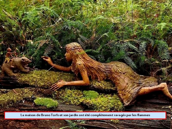 La maison de Bruno Torfs et son jardin ont été complètement ravagés par les