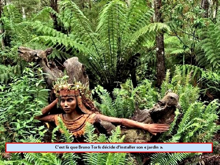 C’est là que Bruno Torfs décide d’installer son « jardin » . 