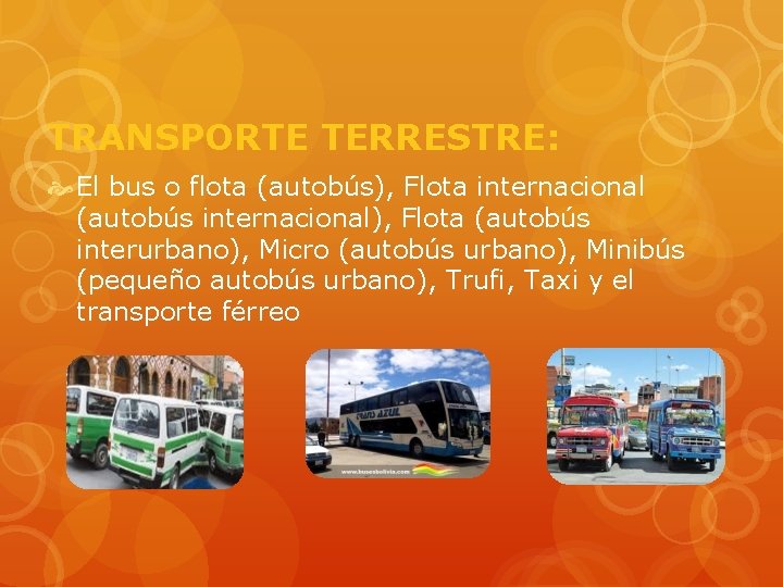 TRANSPORTE TERRESTRE: El bus o flota (autobús), Flota internacional (autobús internacional), Flota (autobús interurbano),