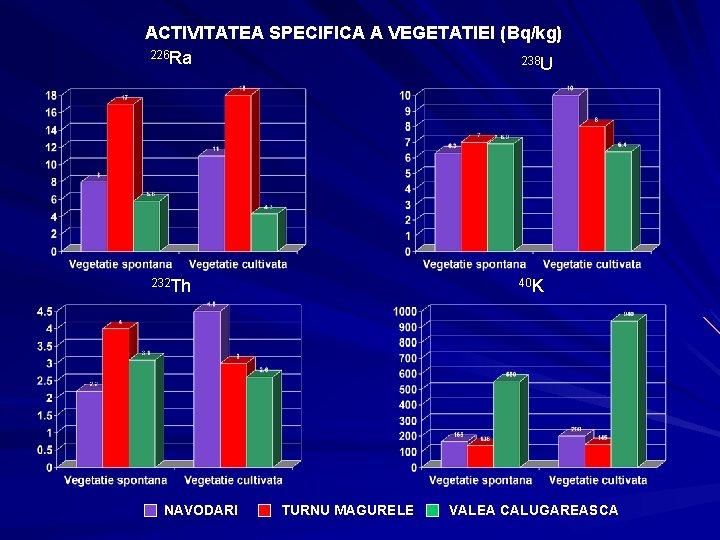 ACTIVITATEA SPECIFICA A VEGETATIEI (Bq/kg) 226 Ra 238 U 232 Th NAVODARI 40 K ACTIVITATEA SPECIFICA A VEGETATIEI (Bq/kg) 226 Ra 238 U 232 Th NAVODARI 40 K