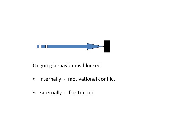 Ongoing behaviour is blocked • Internally - motivational conflict • Externally - frustration 