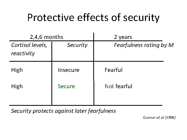 Protective effects of security 2, 4, 6 months Cortisol levels, Security reactivity 2 years
