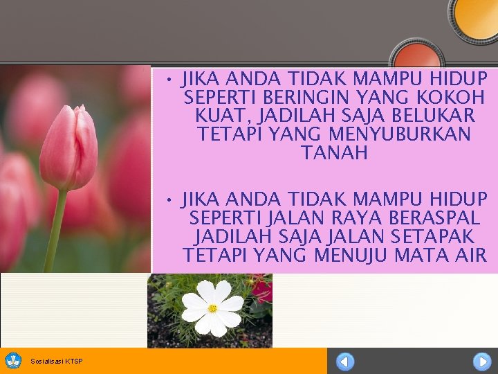  • JIKA ANDA TIDAK MAMPU HIDUP SEPERTI BERINGIN YANG KOKOH KUAT, JADILAH SAJA