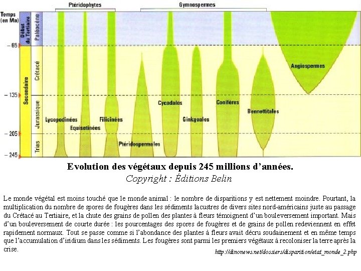 Evolution des végétaux depuis 245 millions d’années. Copyright : Éditions Belin Le monde végétal