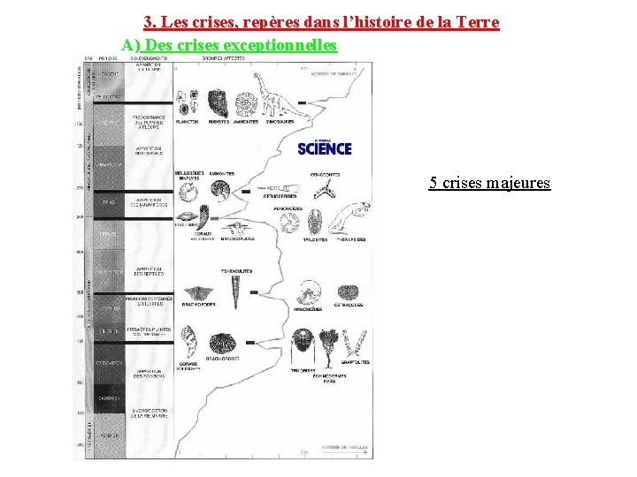 3. Les crises, repères dans l’histoire de la Terre A) Des crises exceptionnelles 5