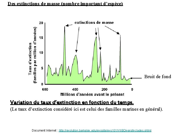 Des extinctions de masse (nombre important d’espèce) Bruit de fond Variation du taux d’extinction