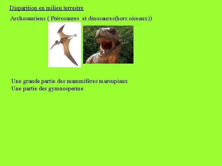 Disparition en milieu terrestre Archosauriens ( Ptérosaures et dinosaures(hors oiseaux)) Une grande partie des