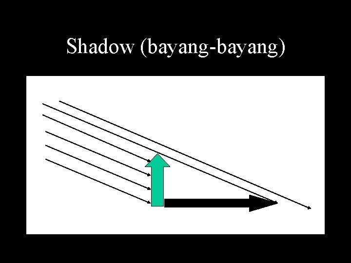 Shadow (bayang-bayang) 