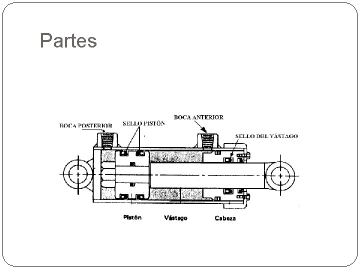 Partes 