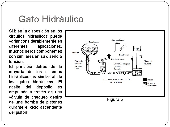 Gato Hidráulico Si bien la disposición en los circuitos hidráulicos puede variar considerablemente en