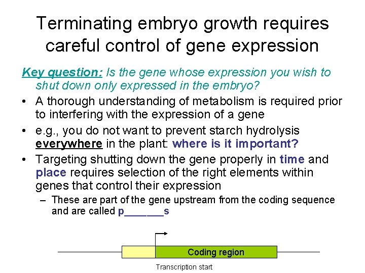 Terminating embryo growth requires careful control of gene expression Key question: Is the gene