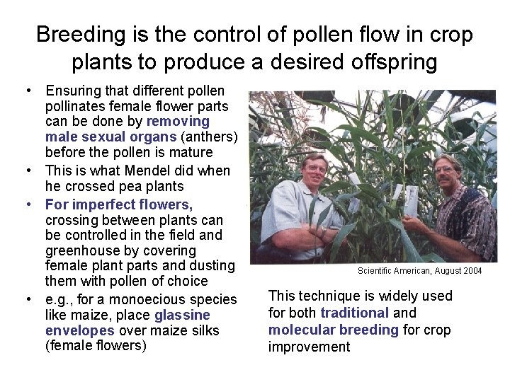 Breeding is the control of pollen flow in crop plants to produce a desired