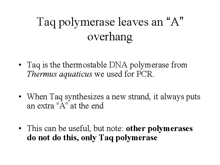 Taq polymerase leaves an “A” overhang • Taq is thermostable DNA polymerase from Thermus