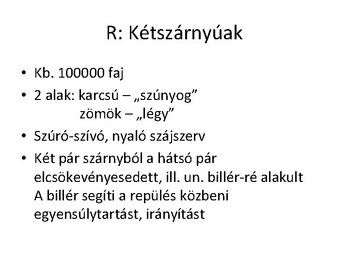 R: Kétszárnyúak • Kb. 100000 faj • 2 alak: karcsú – „szúnyog” zömök –