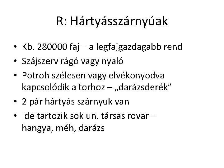 R: Hártyásszárnyúak • Kb. 280000 faj – a legfajgazdagabb rend • Szájszerv rágó vagy