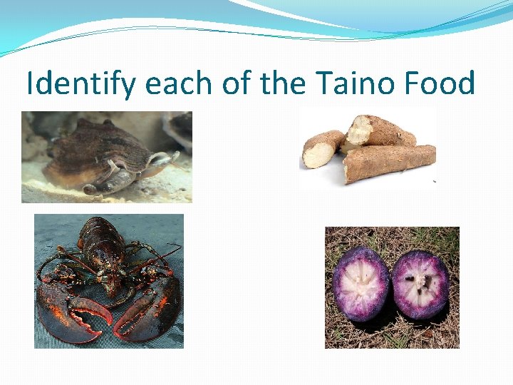Identify each of the Taino Food 
