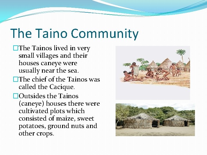 The Taino Community �The Tainos lived in very small villages and their houses caneye