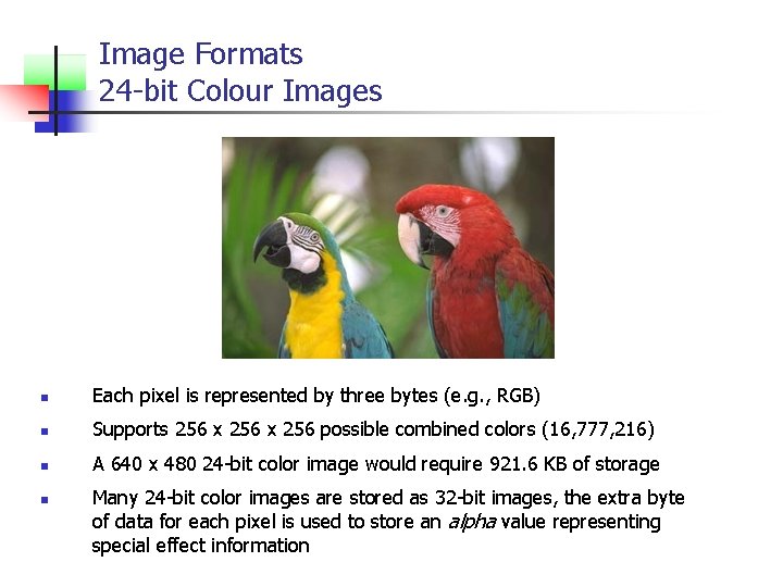Image Formats 24 -bit Colour Images n Each pixel is represented by three bytes