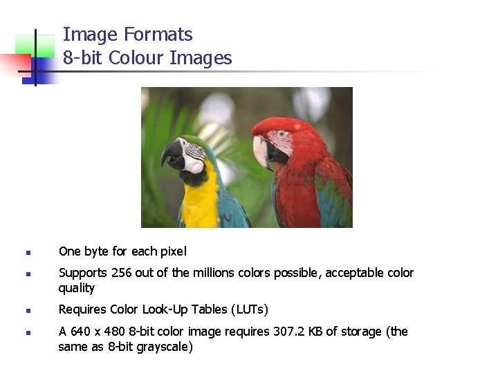 Image Formats 8 -bit Colour Images n n One byte for each pixel Supports