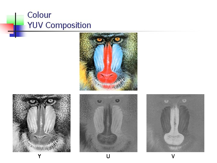 Colour YUV Composition Y U V 