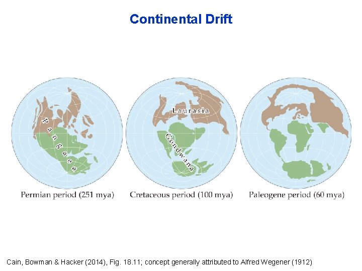 Continental Drift Cain, Bowman & Hacker (2014), Fig. 18. 11; concept generally attributed to