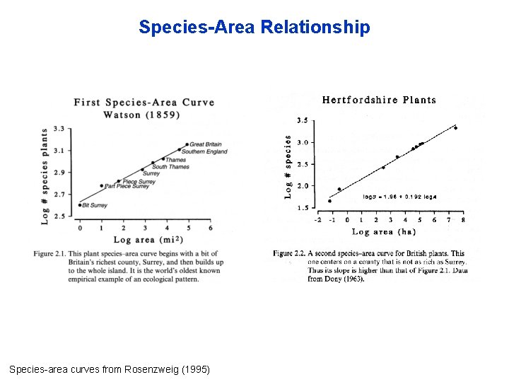 Species-Area Relationship Species-area curves from Rosenzweig (1995) 