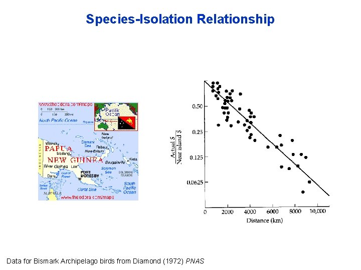 Species-Isolation Relationship Data for Bismark Archipelago birds from Diamond (1972) PNAS 