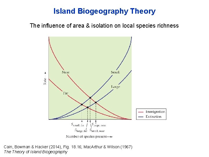 Island Biogeography Theory The influence of area & isolation on local species richness Cain,