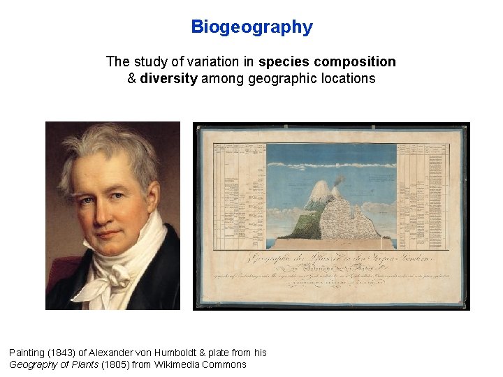 Biogeography The study of variation in species composition & diversity among geographic locations Painting