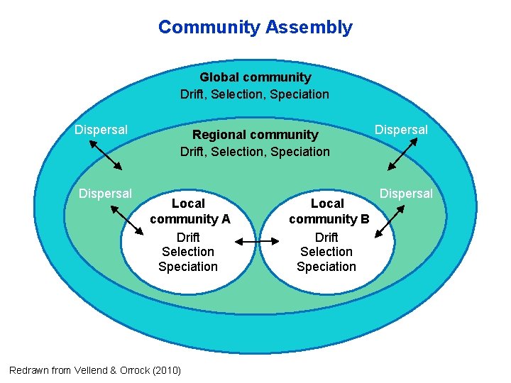 Community Assembly Global community Drift, Selection, Speciation Dispersal Regional community Drift, Selection, Speciation Local